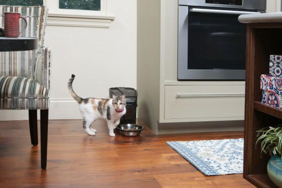 PetSafe Healthy Pet Simply Feed Futterautomat digital und programmierbarer 