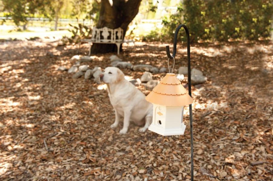 PetSafe Bellkontrolle Deluxe für Außenbereiche  