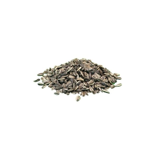 ARDEBO.de Sonnenblumenkerne gestreift 20kg