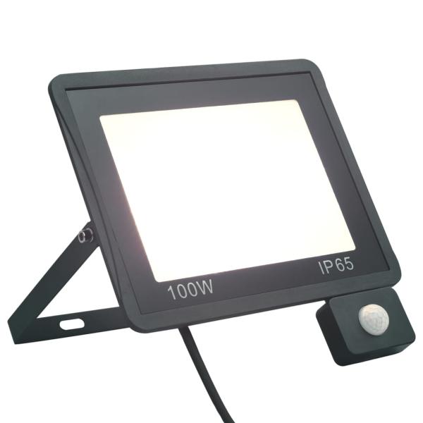 ARDEBO.de - LED-Fluter mit Sensor 100 W Kaltweiß