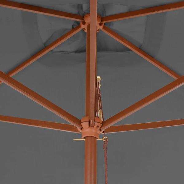 Sonnenschirm mit Holz-Mast 200x300 cm Anthrazit