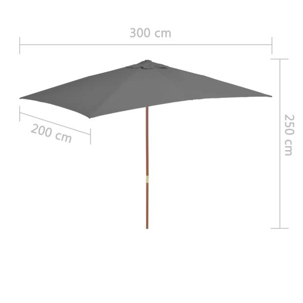 Sonnenschirm mit Holz-Mast 200x300 cm Anthrazit