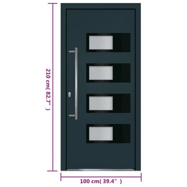 Haustür Anthrazit 100x210 cm Aluminium und PVC