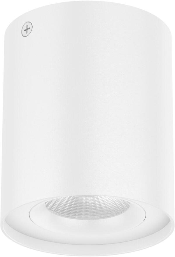 ARDEBO.de EVN Deckenanbau, kardanisch schwenkbar, rund, IP20, 200-240V, 10W, 3000K, 900lm, weiß (ALS20100102)