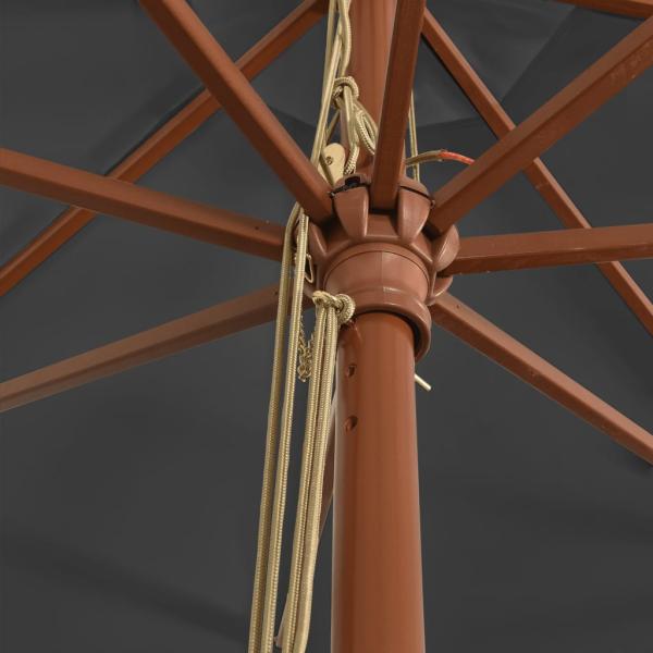 Sonnenschirm mit Holzmast Anthrazit 400x273 cm