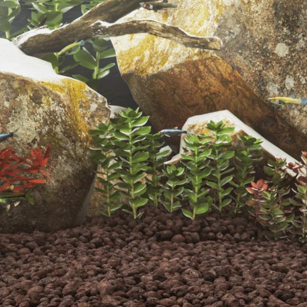 ARDEBO.de - Lavagranulat 25 kg Rot 5-8 cm