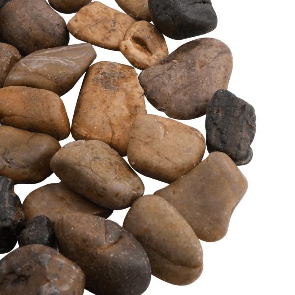 Polierte Kiesel 10 kg Mehrfarbig 2-5 cm