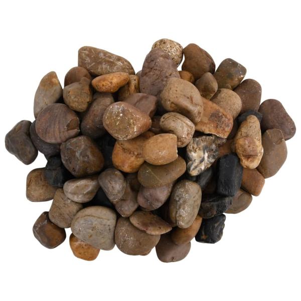 Polierte Kiesel 10 kg Mehrfarbig 2-5 cm