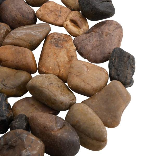 Polierte Kiesel 10 kg Mehrfarbig 2-5 cm