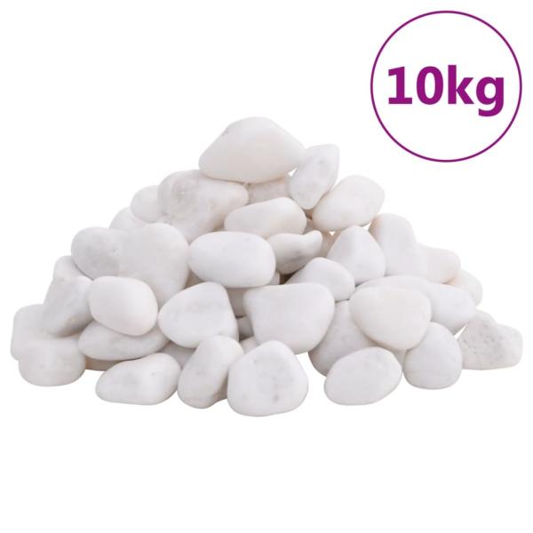 ARDEBO.de - Polierte Kiesel 10 kg Weiß 2-5 cm