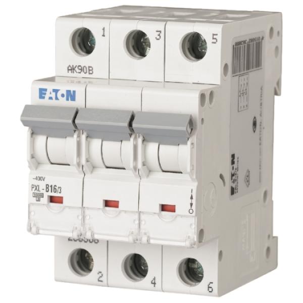 ARDEBO.de - LS -Schalter 16A,3pol.10kA PXL-B16/3, B-Char.