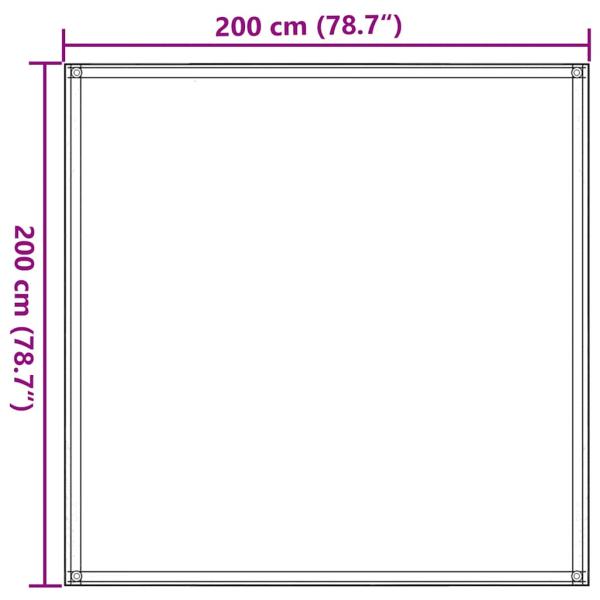 Zeltteppich 200x200 cm Blau HDPE