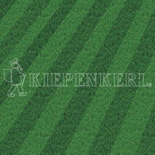 ARDEBO.de Kiepenkerl RSM 3.2 Profi Sportrasen Regeneration mit Poa 10kg 