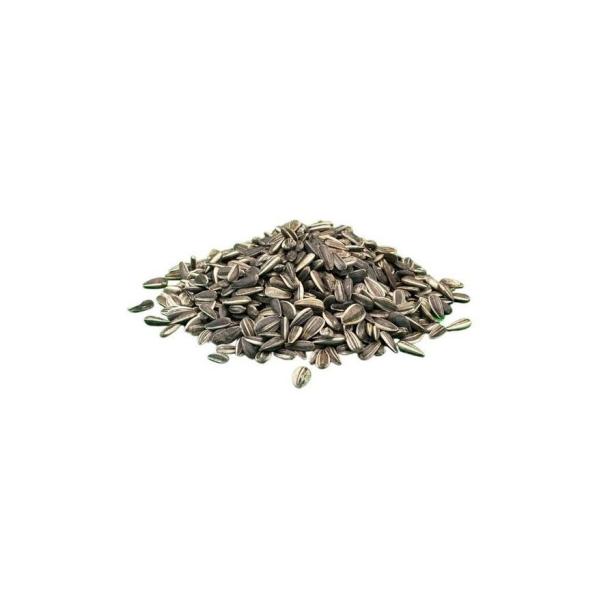 ARDEBO.de Sonnenblumenkerne gestreift 25kg