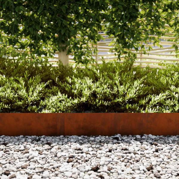 Raseneinfassung 50 pcs 100 x 0,05 x 20 cm Wetterfeststahl