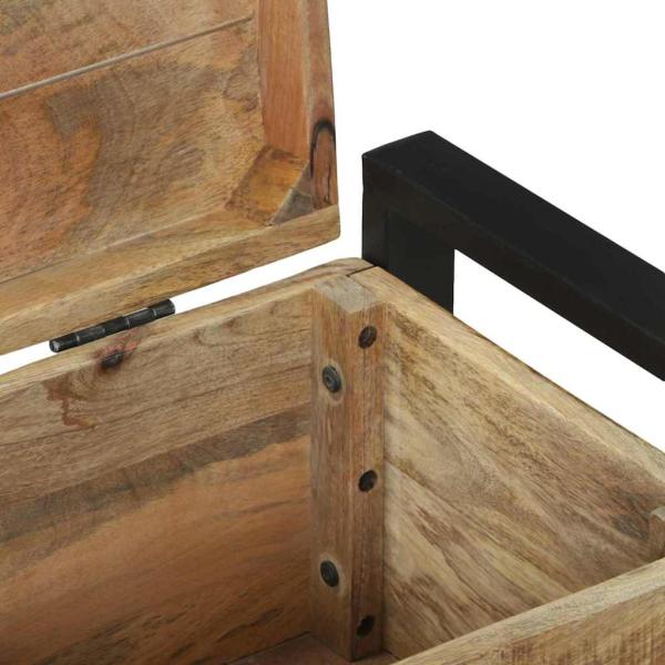 Aufbewahrungstruhen 60x30x30cm aus massivem Mango-Holz und Metall