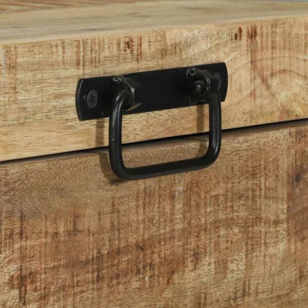 Aufbewahrungstruhen 60x30x30cm aus massivem Mango-Holz und Metall