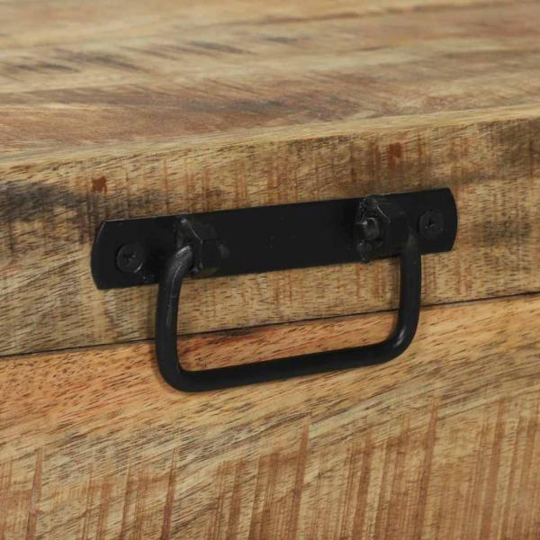 Aufbewahrungsboxen 80x30x30cm aus massivem Mangoholz und Metall