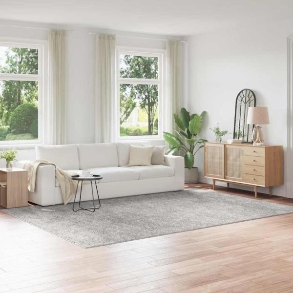 ARDEBO.de - Shaggy Teppich mit Latexrücken Grau 240x340 cm