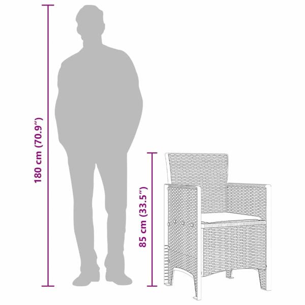 Gartenstuhl Set von 2 Anthrazit, Cremeweiß Kunststoff-Rattan