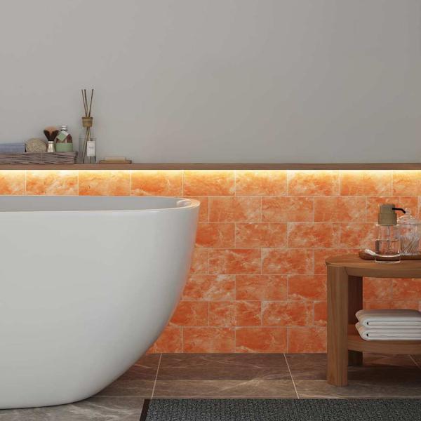 Salzsteine 10 Stück 20x10x2,5 cm 11,5 kg Pink