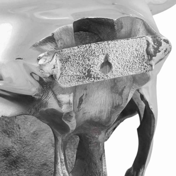 Wandmontierter Stierkopf Silber 34x13x53 cm Aluminium