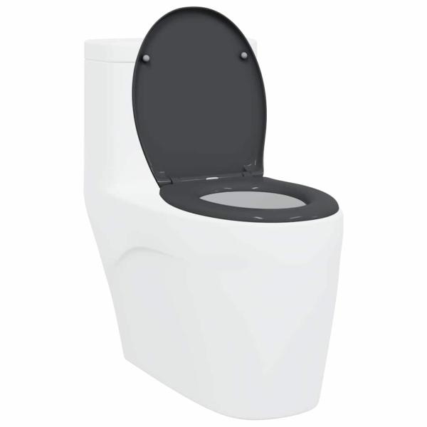 Schnellverschluss-Toilettensitz mit sanfter Schließfunktion Duroplast Anthrazit