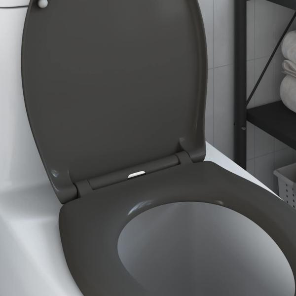Schnellverschluss-Toilettensitz mit sanfter Schließfunktion Duroplast Anthrazit