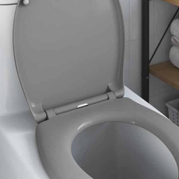 Schnellverschluss-Toilettensitz mit sanftem Schließen Duroplast Grau