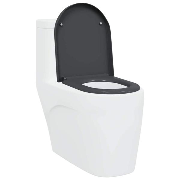 Schnellverschluss Toilettensitz mit sanfter Schließung Duroplast Anthrazit