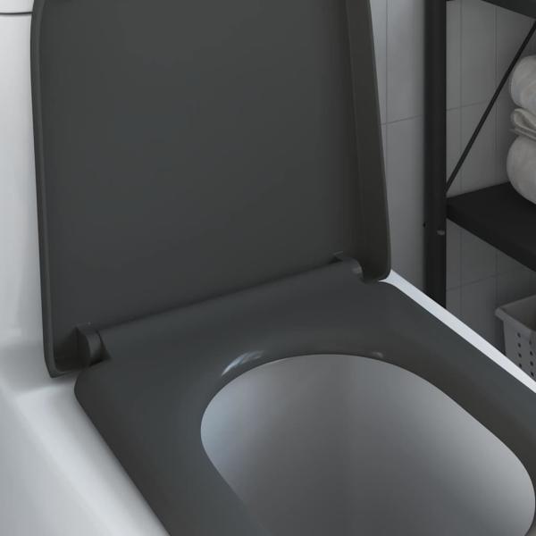 Schnellverschluss Toilettensitz mit sanfter Schließung Duroplast Anthrazit