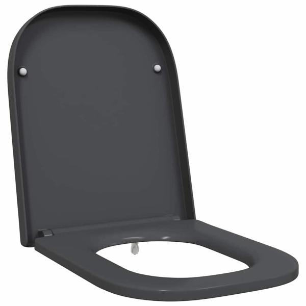 Toilettensitz mit Schnellverschluss und sanftem Schließen Duroplast Anthrazit