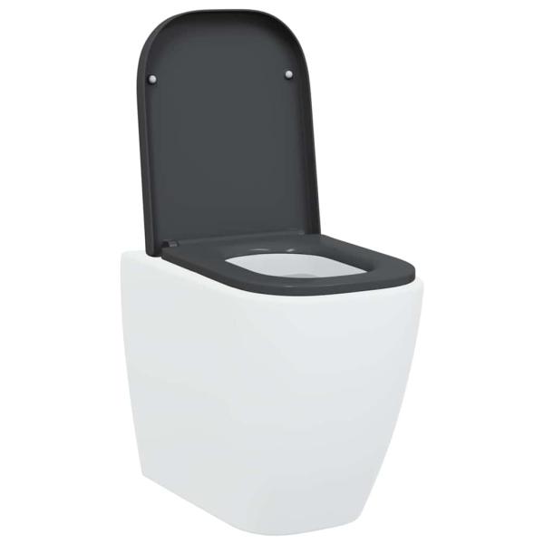 Toilettensitz mit Schnellverschluss und sanftem Schließen Duroplast Anthrazit
