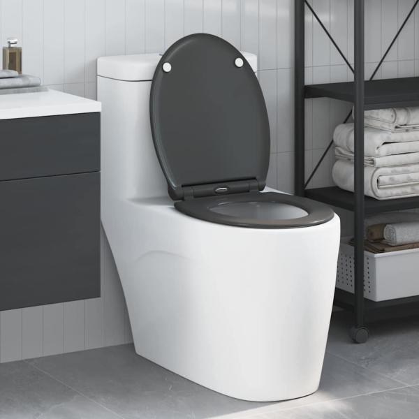 ARDEBO.de - Quick Release Toilettensitz mit sanftem Schließen Duroplast Anthrazit
