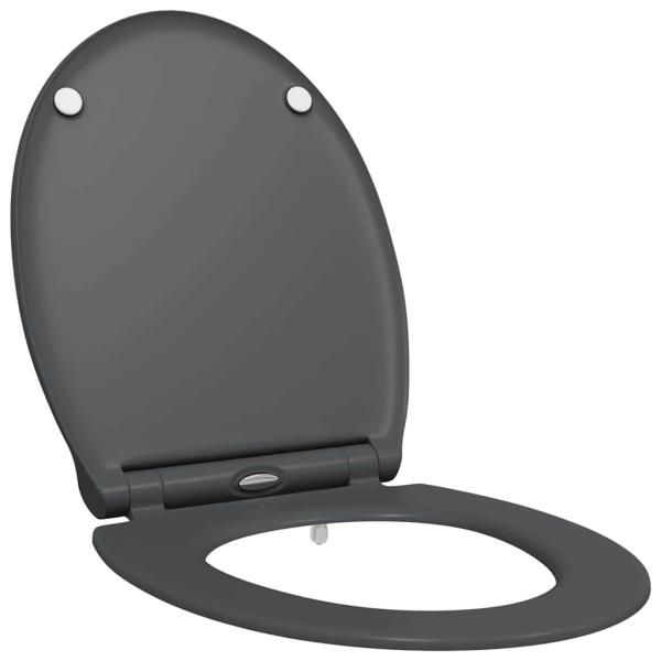 Quick Release Toilettensitz mit sanftem Schließen Duroplast Anthrazit