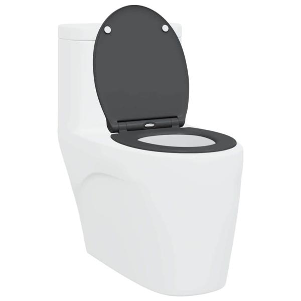 Quick Release Toilettensitz mit sanftem Schließen Duroplast Anthrazit