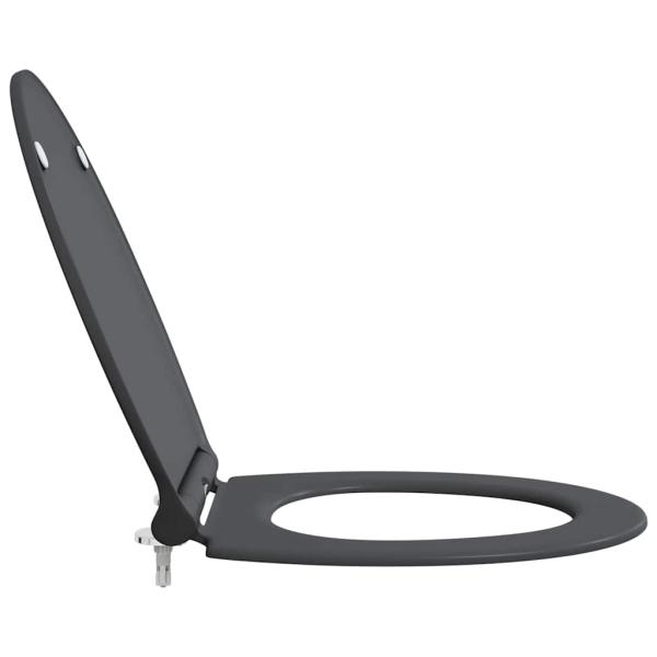 Quick Release Toilettensitz mit sanftem Schließen Duroplast Anthrazit