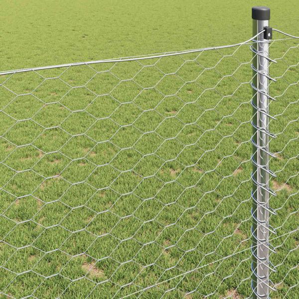 Sechseckzaun Verzinkter Stahl 10000 x 0.06 x 100 cm Langlebig