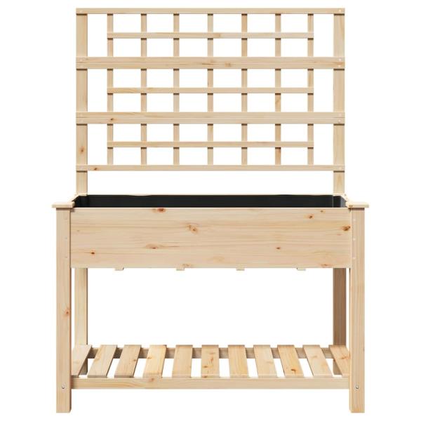 Gartenpflanzer mit Rankgitter und Regal 115x59x152 cm Massivholz Kiefer