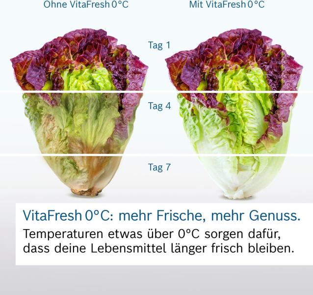 Bosch KGN492IAF Serie 4 Stand Kühl-Gefrierkombination, 70 cm breit, 440 L, Total No Frost, XXL-Fassungsvermögen, Individuelle Temperaturregelung, Super Kühlen, Gebürsteter Stahl AntiFingerprint