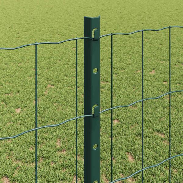 Euro-Zaun Set 2er Set Grün Pulverbeschichteter Stahl 25 x 1,2 m