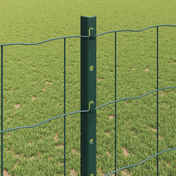 Euro Zaun Set aus 2 Grün PVC-beschichteter Draht Groß