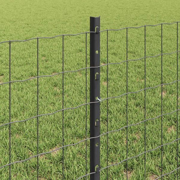 Euro Zaun Set Set von 2 Grau Pulverbeschichteter Stahl 10 x 0.6 m