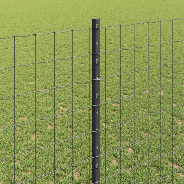 ARDEBO.de - Gartenzaun-Rollensatz Set mit 2 Grau Metall 10 x 1,4 m