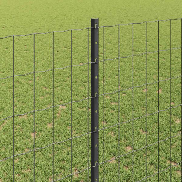 Gartenzaun Set 2-teilig Grau Metall 10 x 1,4 Meter