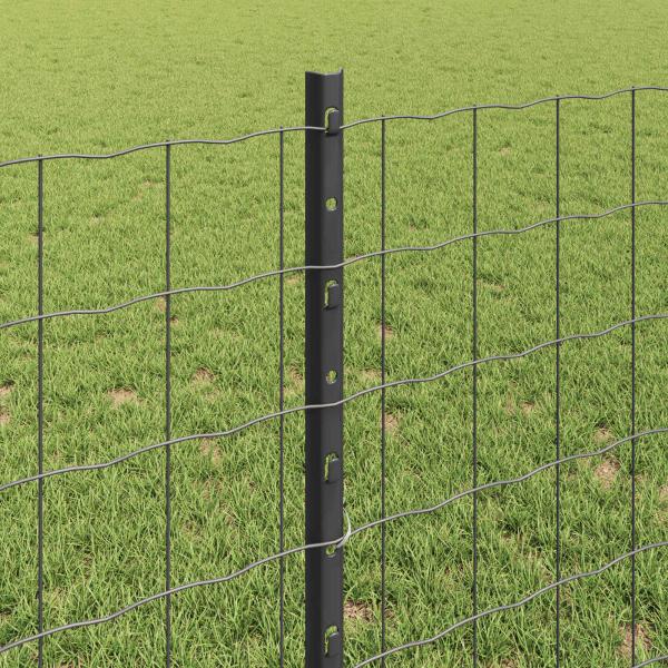 ARDEBO.de - Euro Zaun Set 2er Set Grau Stahl 10 x 0.8 m Langlebig