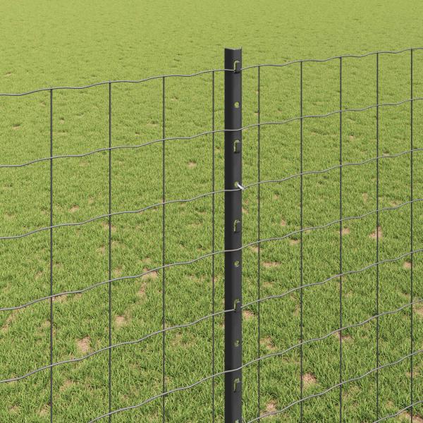 Gartenzaun-Set Set aus 2 Grau Pulverbeschichtetes Metall