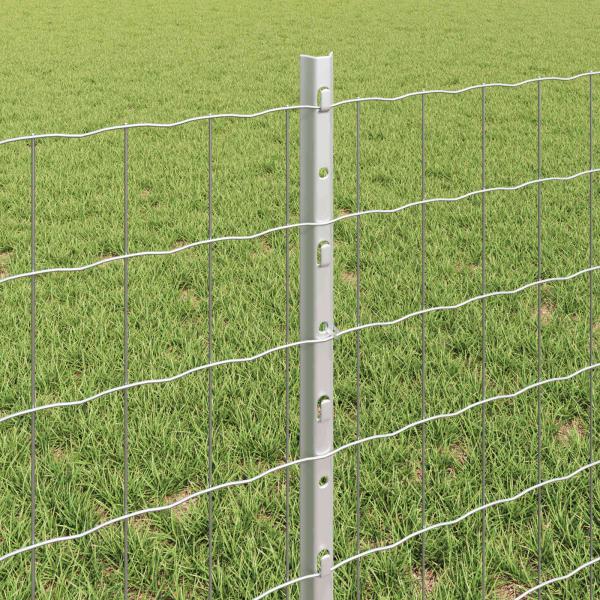 Euro Zaunset Set aus 2 Verzinkter Stahl 10 x 0.6 m Robust