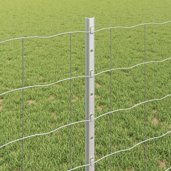 Euro-Zaun mit Pfosten 10 x 0,8 m Verzinkter Stahl Silber Netz