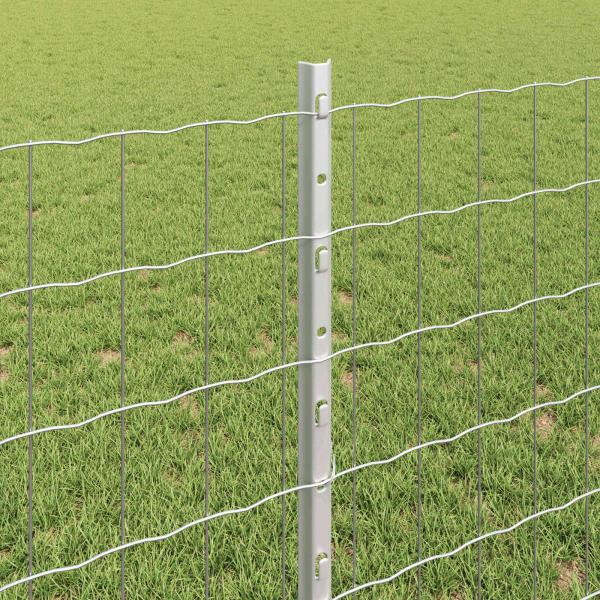 Gartenzaun Set Set aus 2 Verzinkt Verzinkter Stahl 25 x 0,8 m